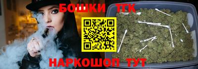 индика Можга