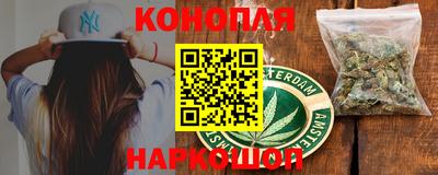 индика Можга
