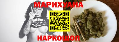 индика Можга