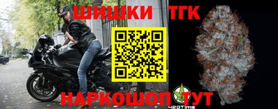 индика Можга