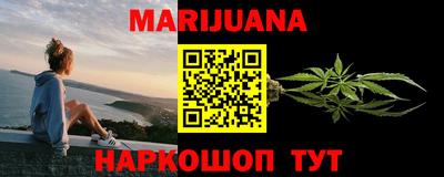 индика Можга