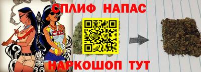 индика Можга