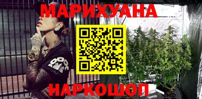 индика Можга